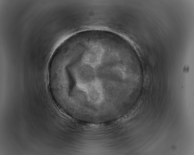 X0000098071271200804251430