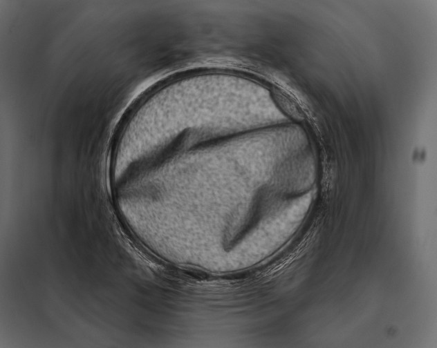 X0000098071272200804251430