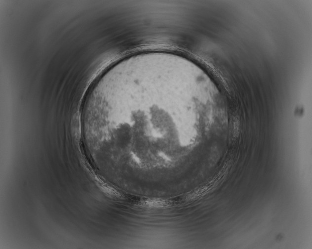 X0000098071274200804251430