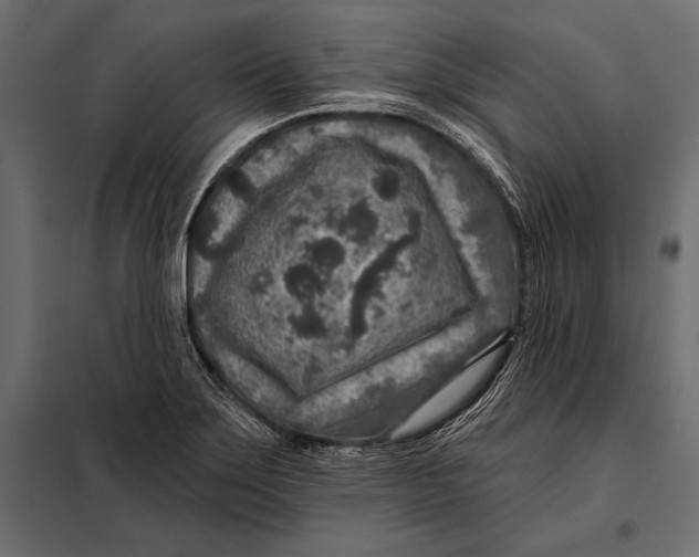 X0000098071275200804251430