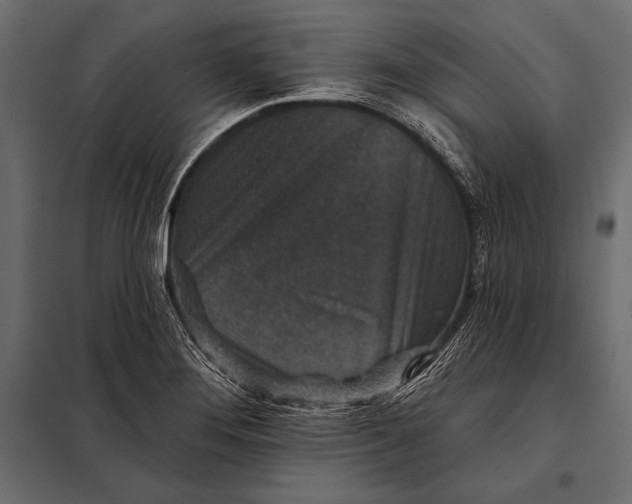 X0000098071276200804251430