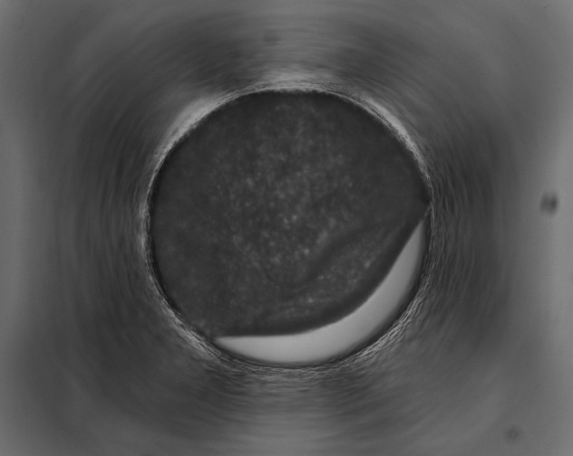 X0000098071277200804251430