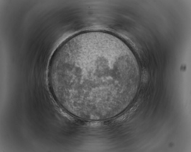 X0000098071278200804251430