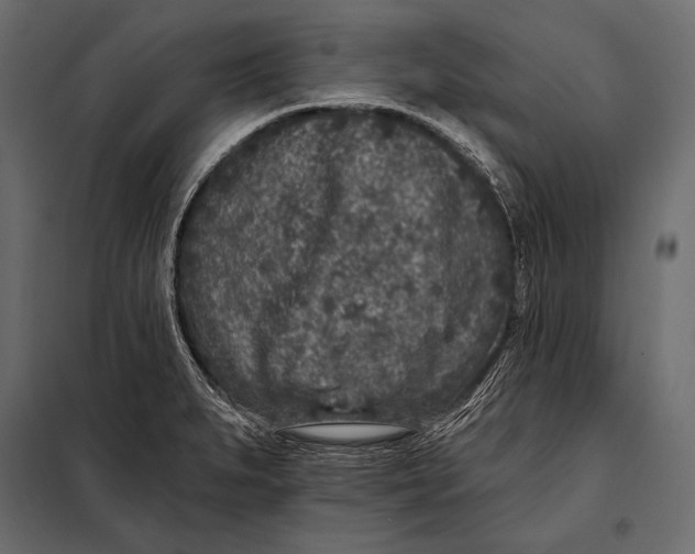 X0000098071279200804251430