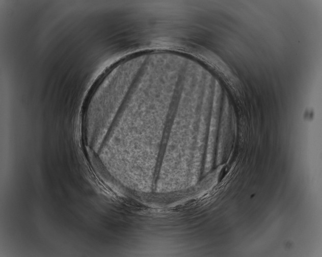 X0000098071280200804251430