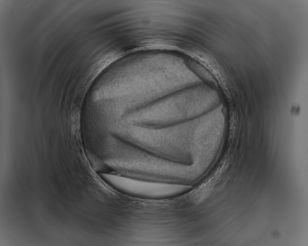 X0000098071281200804251430