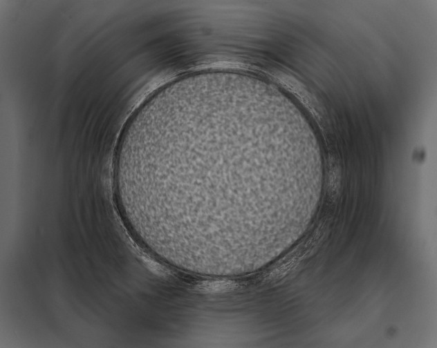 X0000098071282200804251430