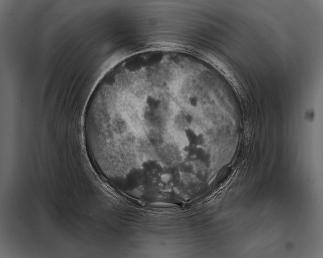 X0000098071283200804251430