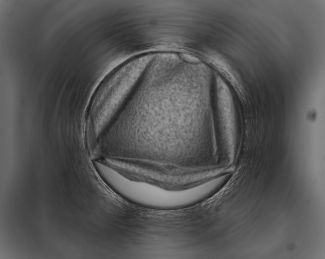 X0000098071284200804251430