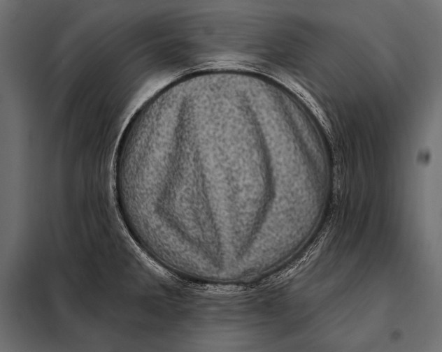 X0000098071285200804251430