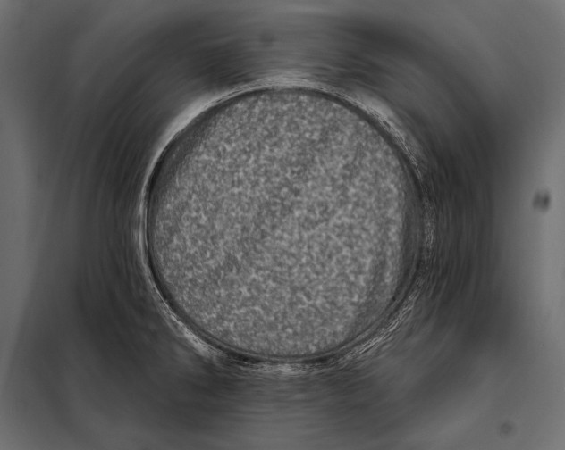 X0000098071286200804251430