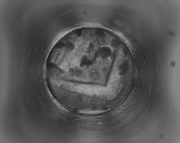 X0000098071287200804251430