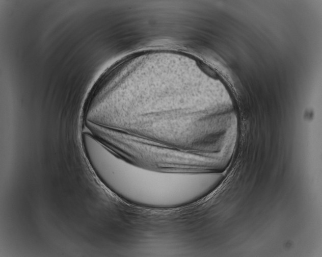 X0000098071288200804251430