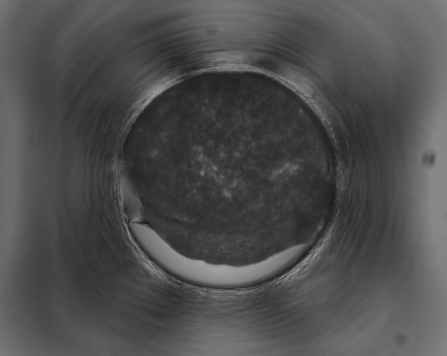 X0000098071289200804251430