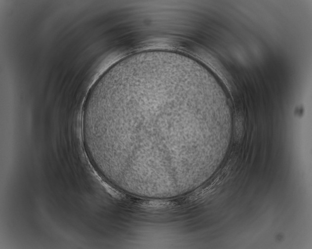 X0000098071290200804251430