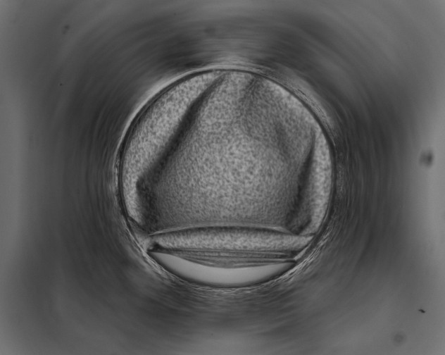 X0000098071292200804251429