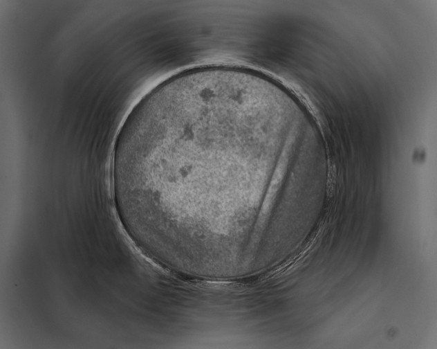 X0000098071295200804251429