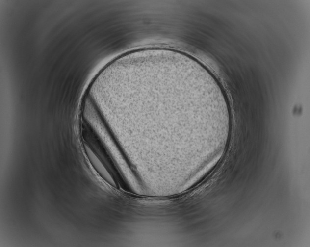 X0000098071296200804251429