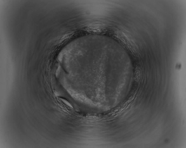 X0000098071297200804251429