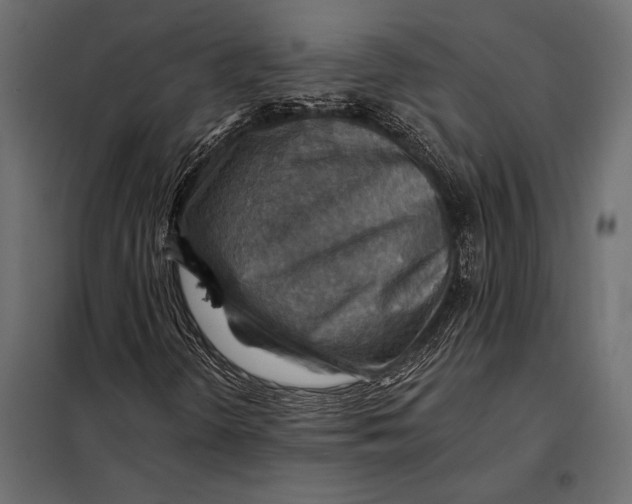 X0000098071298200804251429