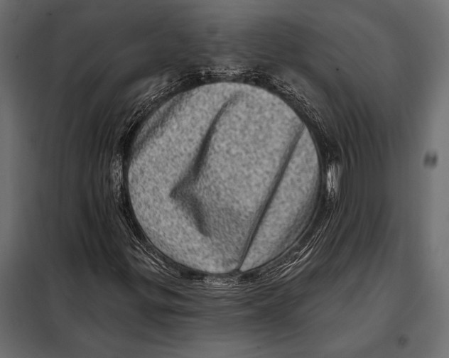 X0000098071299200804251429