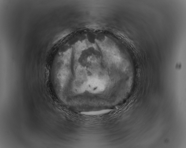 X0000098071302200804251429