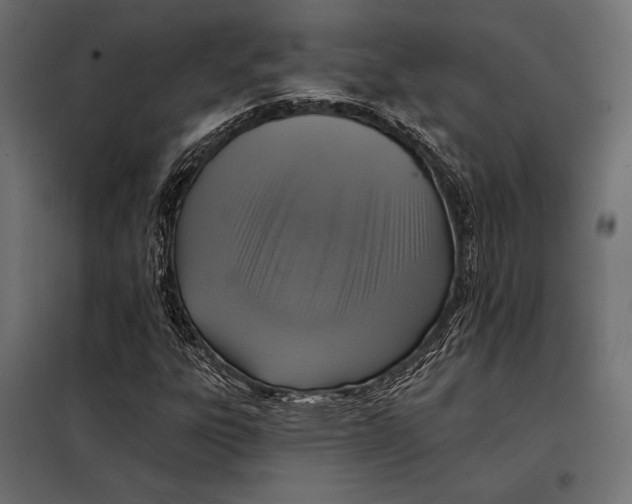 X0000098071303200804251429