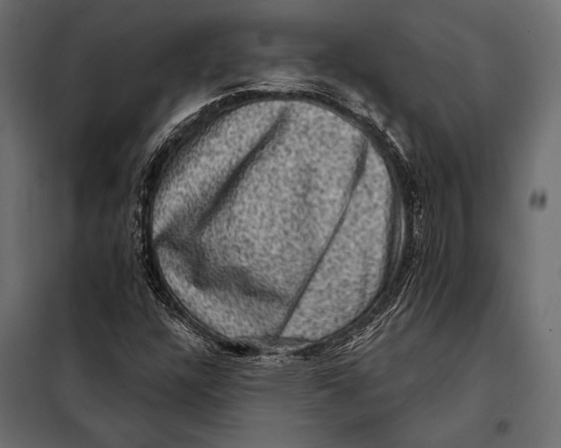 X0000098071304200804251429