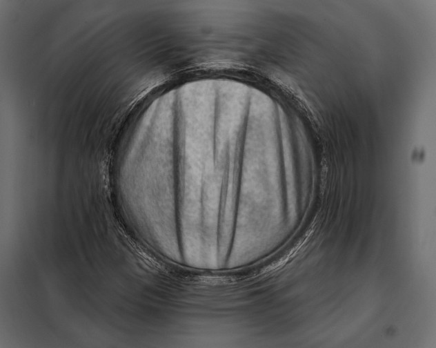 X0000098071305200804251429