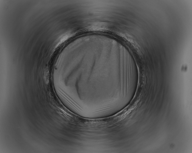 X0000098071306200804251429