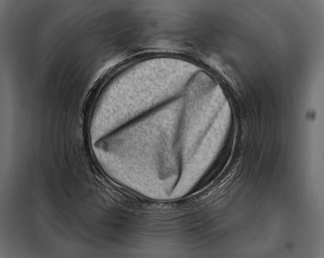 X0000098071307200804251429