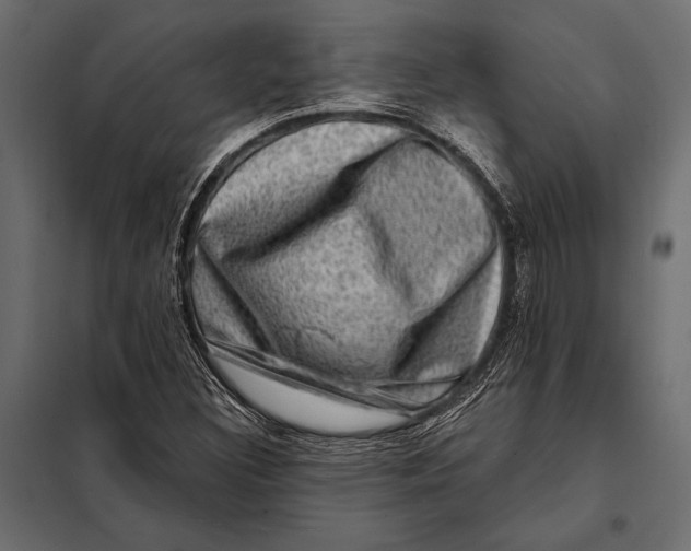 X0000098071308200804251429