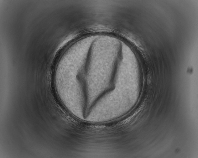 X0000098071309200804251429