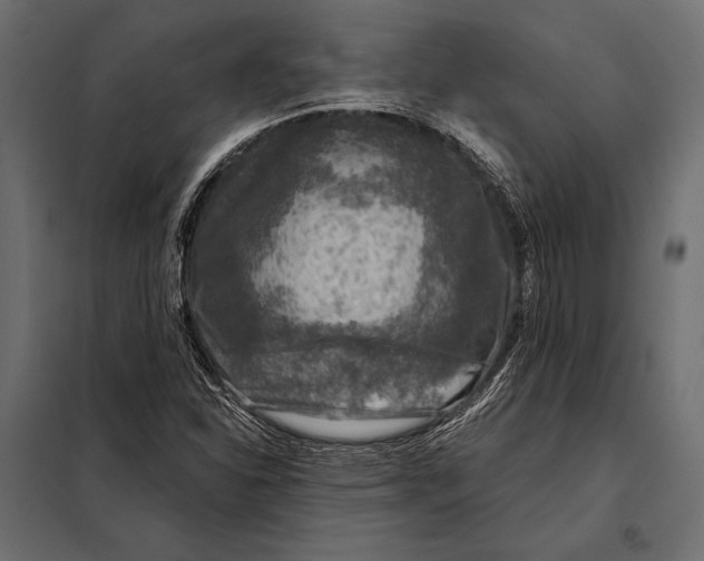 X0000098071310200804251429