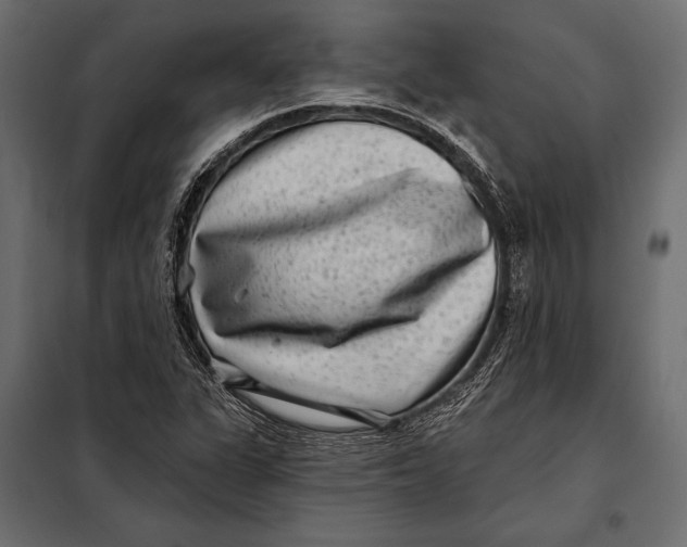 X0000098071311200804251429