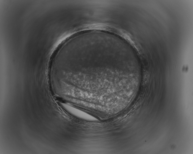 X0000098071312200804251429