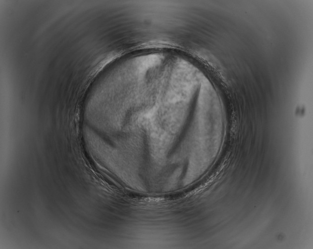 X0000098071313200804251429