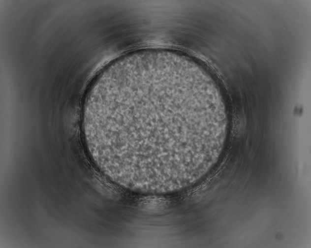 X0000098071314200804251429