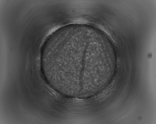 X0000098071315200804251429