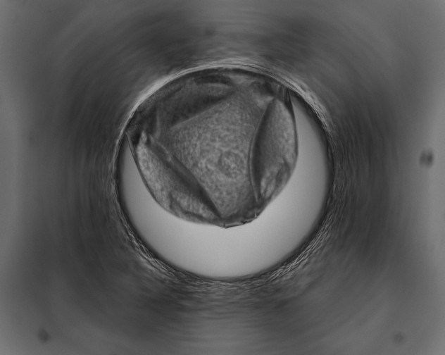 X0000098071316200804251429