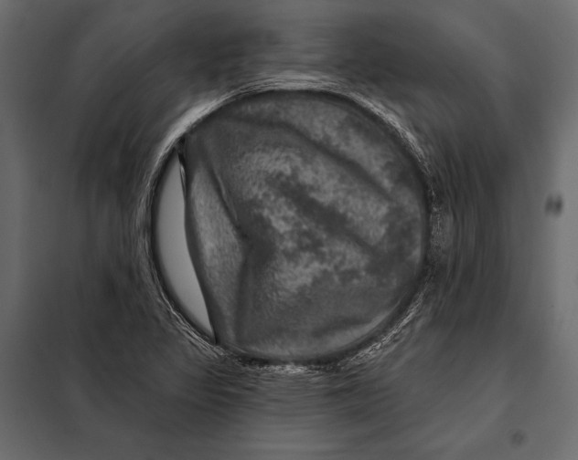 X0000098071317200804251429