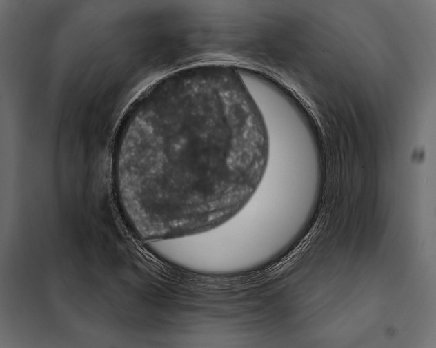 X0000098071318200804251429