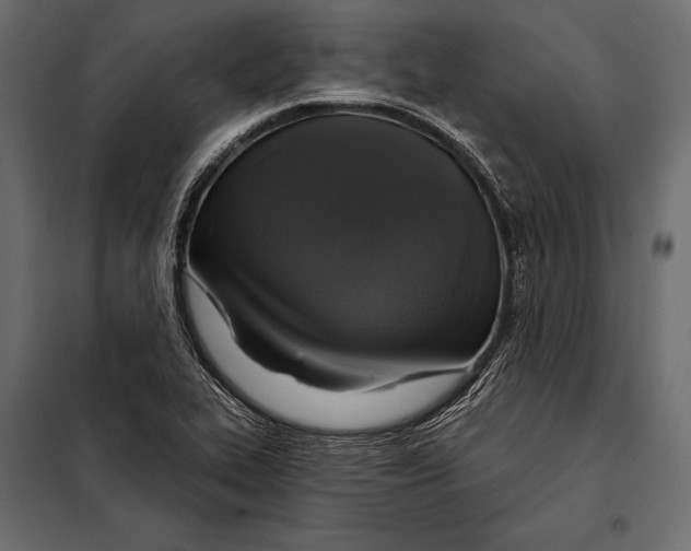 X0000098071319200804251429