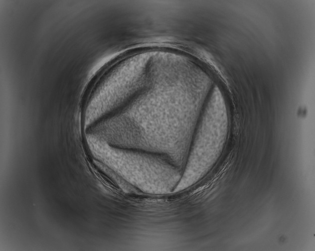 X0000098071320200804251429