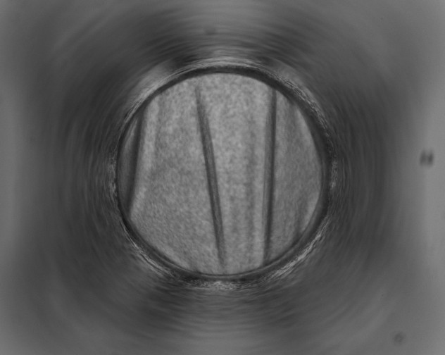 X0000098071321200804251429