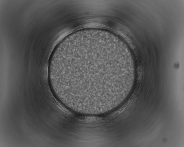 X0000098071322200804251429