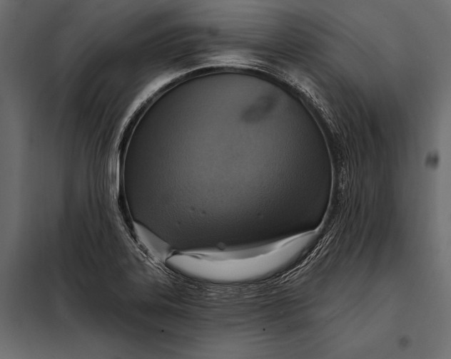 X0000098071323200804251429