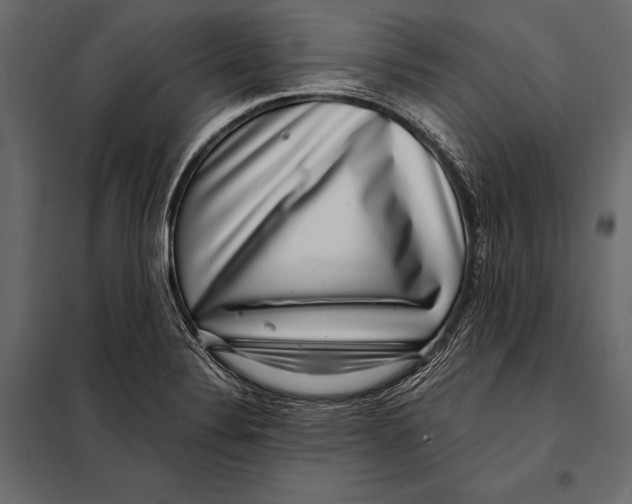 X0000098071324200804251429