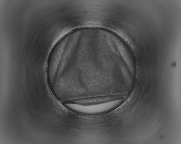 X0000098071325200804251429