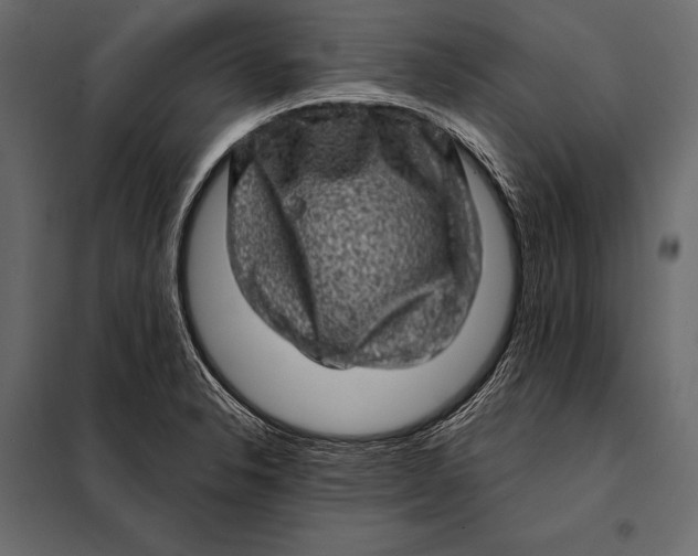 X0000098071326200804251429